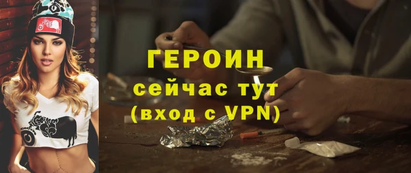 индика Вяземский